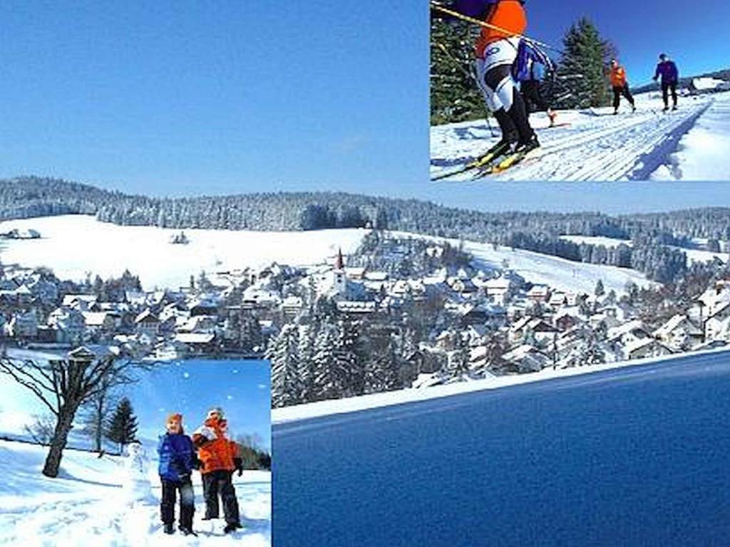 Appartmentvermietung Terrassenpark Schonach Schonach im Schwarzwald Exteriér fotografie